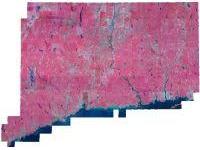 Coverage area of 2008 NAIP Color Infrared Orthophotography