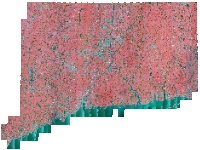 Coverage area of 2012 NAIP Color Infrared Orthophotography