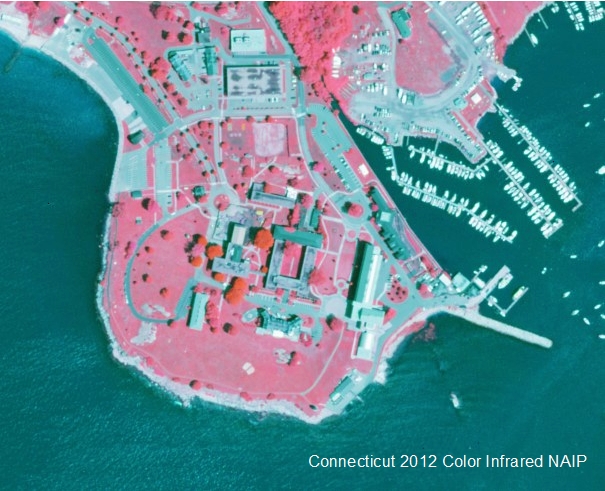 Example of 2012 NAIP Color Infrared Orthophotography