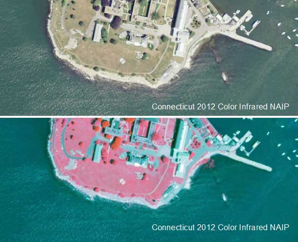 Example of 2010 NAIP Color and Color Infrared Orthophotography