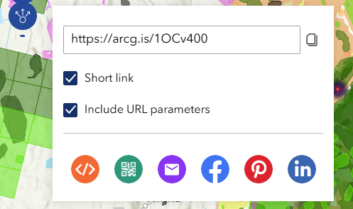 Share options